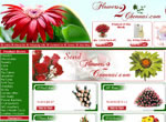 Flowers to Chennai