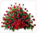 Garden Of Roses